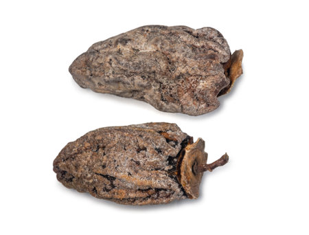 Dried persimmon on a white background. Dry fruits of the tree. Dried fruit isolate. Wrinkled persimmon. sample. Healthy food concept. Dieting. Place for an inscriptionの写真素材