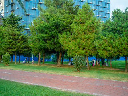 park area. People on vacation. city park. Batumi. Quiet place in the cityの写真素材