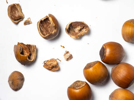 Hazelnuts on a white background. Nuts in a shell. Snack. healthy diet. Ingredients for preparing a healthy lunch. Broken walnut.の写真素材