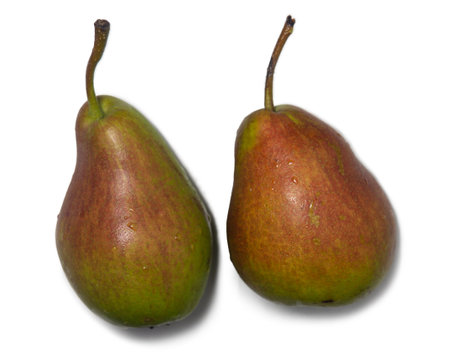 A variety of pear ripening in agusta. August dew. Fruit on a white background. Green pear with red patches. Delicious fruit. Dietingの写真素材