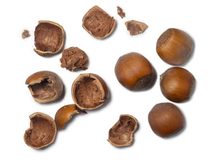 Whole hazelnut. Chopped hazelnuts on a white background. Nuts in a shell. healthy diet. Ingredient for vegan food.の写真素材