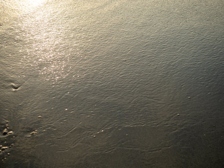 Wet sand of the beach in the rays of the setting sun. The silence of the wild beach. Natural background. Black sand in the sun close-up. Quiet place. Edge of the coast. Bathing place. Waveの写真素材