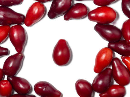Dogwood berries on a white background. red berries. Useful fruit. Health food. Tartberry, ingredient for compote. dogwood isolateの写真素材