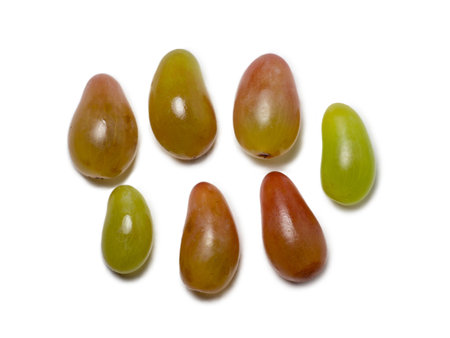 Individual grapes on a white background. Green berries. Juicy fruits. Dessert preparation. Wine ingredient. Grape sort.の写真素材