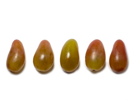Individual grapes on a white background. green berries. Juicy fruits. Dessert preparation. wine ingredient. Grapesort.の写真素材