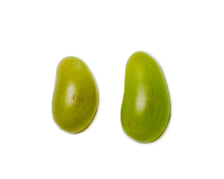 Individual grapes on a white background. green berries. Juicy fruits. Dessert preparation. wine ingredient. Grapesort.の写真素材