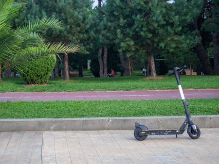 Electric scooters on the alley in the city park. modern vehicle. two wheeled transport. Entertainment at the resort.の写真素材