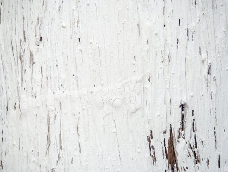 Tree bark in white paint. Painted tree trunk. Ribbed bark of a southern tree. background from natural material. close-upの写真素材