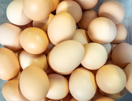 village eggs. Lots of light brown eggs. Background from eggs in the shell. market stall. Choice of ingredients for dinner. Health food. Vegetarianの写真素材