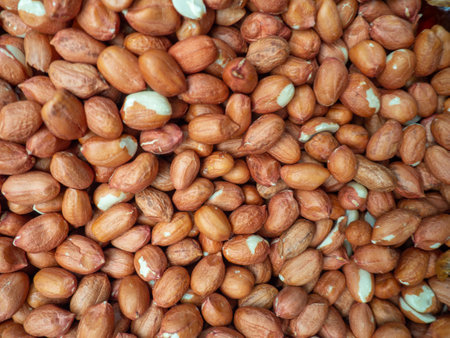 Lots of peanuts. Background from peanut without shell. Snack on the table. Squirrel food. Lots of nuts. Hearty ingredient. Tasty food. Counter in the market. Food for a raw foodistの写真素材