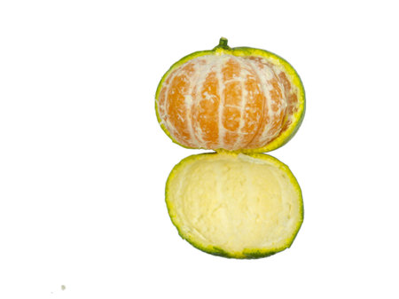 Unripe tangerine. Peeling a tangerine. Green fruit on a white background. Sour ingredient. Citrus isolate. Useful fruit.の写真素材
