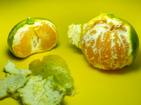 Unripe tangerine on a yellow background. Peeling a tangerine. Green and yellow color. Sour ingredient. Citrus isolate. sliced tangerine. Useful fruit. citrus concept.の写真素材