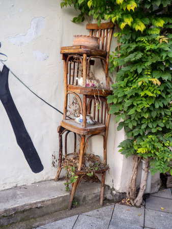 Old chairs as decoration. old furniture. flower pots on the street. Abandoned. Original use of items.の写真素材
