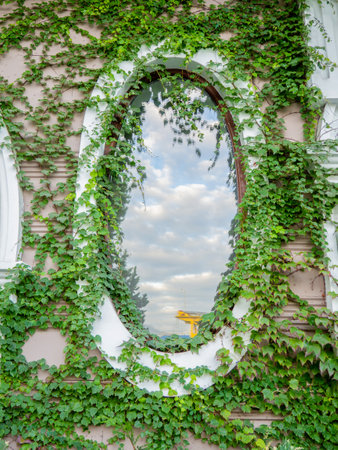 Beautiful round window overgrown with ivy. Reflection in an old window. urban environment. old architecture. Mirror in the city. The sky is reflected in the windowの写真素材