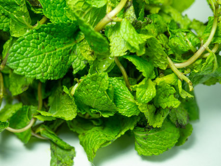Mint leaves on a white background. A bunch of useful grass. plant isolate. Fragrant tea component. Healing Mintの写真素材
