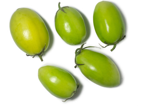 Green tomatoes on a white background. The concept of an unripe vegetable. salt preparation. Salting product. Health food. Place for writing text. An unripe fruit picked from a bush. Tomatoes lady's fingers.の写真素材