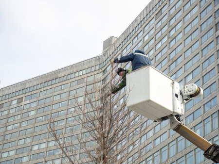 Moscow, Russia. 01/04/2022 Workers on the lift trim the tree. landscaper's work. Trimming the top of a tree. high-altitude work.のeditorial素材