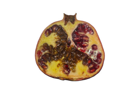 spoiled Sliced Pomegranate. Half a rotten fruit. Pomegranate on a white background. Bright red fruit. Autumn fruit isolate. Seeds.の写真素材