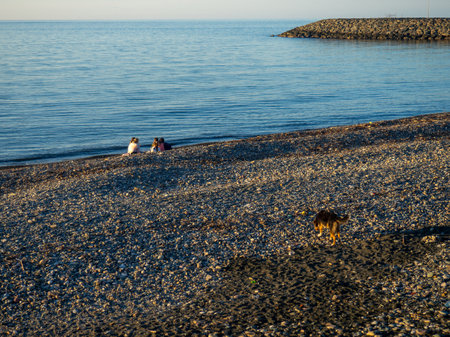 Sea view in calm. Georgia beach. Pebble coast in autumn. Cold water for swimming. Not a season. blue sea. Close to sunset. People rest on the beachの写真素材