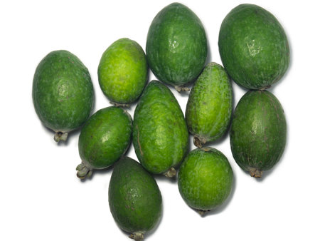 Whole feijoa fruit on a white background. Object shooting. Vegan food. Raw food diet. Juice ingredient. Fruit with skin.の写真素材