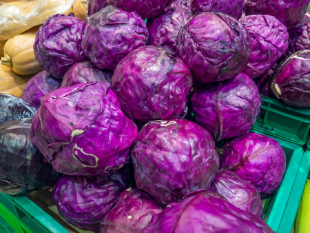 Store shelves. purple cabbages. Sort. Vegetables and fruits. Cabbage platter. assortment in the supermarket. healthy food.の写真素材