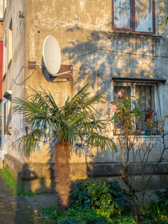 Satellite dish on an old house. antenna next to a palm tree. old and new. technology and poverty. TVの写真素材