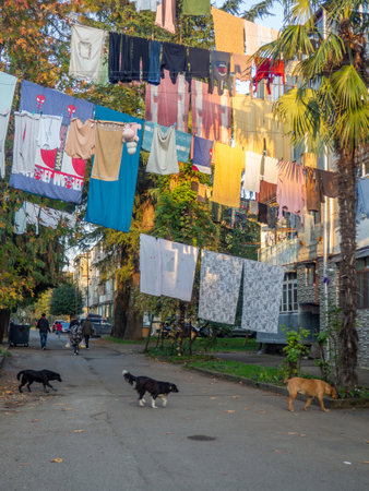 Batumi,Georgia. 01/12/2022 People in the yard. laundry is dried on clothesline. city environment. Asian city streets. cozy yard.のeditorial素材