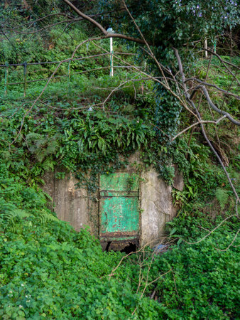 Old rusty broken door to a concrete room. The door to the booker. Green old door overgrown with plants.の写真素材