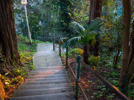 architecture in the park. Staircase among the trees. Stairs in the natural park leading to a hill. infrastructure. Sights of Georgia. Temple of Tamara. Batumi.の写真素材