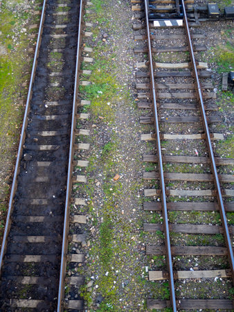 Old railway tracks. View from above. Railway in the moss. Road concept. Train station. Lines. Resin on sleepersの写真素材