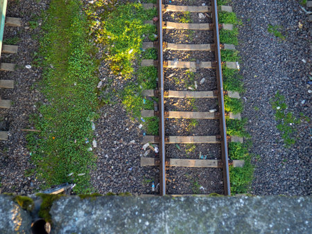 Old railway tracks. View from above. Railway in the moss. Road concept. Train station. Lines.の写真素材