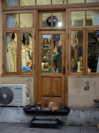 Batumi, Georgia. 01.21.2023 Cozy atmosphere in the window of a small shop. Warm light from the window. People at work in the workshop. The dog sleeps on the porchのeditorial素材