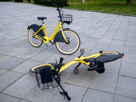 Bicycle rental in the park. parked bike. Transport for rent. On a walk in the resort town. In the park of the southern city. modern restの写真素材