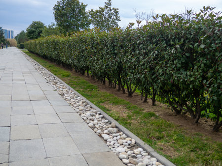 Unusual design of paths in the park. Cobblestones as decoration. Stones on the alley in the park. southern resort townの写真素材
