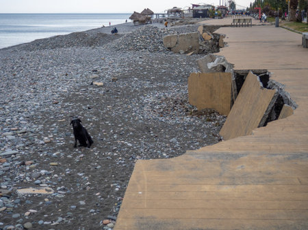 Consequences of destructive waves. Blurred embankment. Pedestrian area of the park after the storm. Batumi.  dog is sitting on the wreckageの写真素材