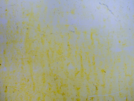Mold on bathroom enamel. Black dots of mold and yellow plaque. Requires cleaning. Before using cleaning products. Dirt in the bathroomの写真素材