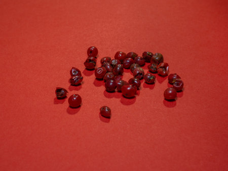 Red peppercorns on a red background. Red color. Seasoning for dishes. The concept of spicy food. Spicy condiment. Cooking. Asiaの写真素材