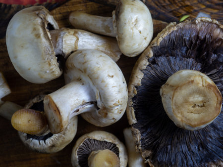 Mushrooms on a cutting board. champignons  of different sizes on the table. Close-up of mushrooms. Ingredient for a dish. Cooking dinner. Raw champignons. Vegetarianismの写真素材