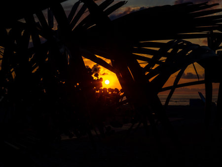 Sunset over the sea in a resort place. Evening on the beach. Beautiful orange sunset. Evening in Baumi. Black Sea coast. Rest on the sea. Sunset through the leavesの写真素材