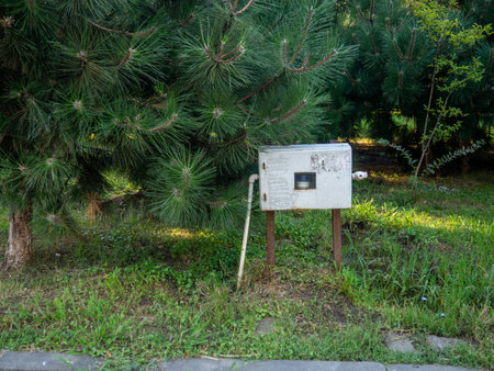 Electricity meters in the garden. Industry and nature. Counter concept. Iron device among palm treesの写真素材