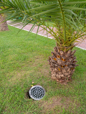 Street illumination lamp in the ground. Lantern in the ground. Palm lighting. lighting fixture for decorationの写真素材