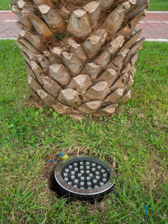 Street illumination lamp in the ground. Lantern in the ground. Palm lighting. lighting fixture for decorationの写真素材