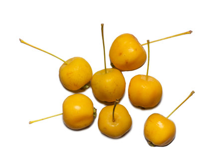early variety of apples. Small yellow apples on a white background. Summer fruit isolate. Chinese gold.の写真素材