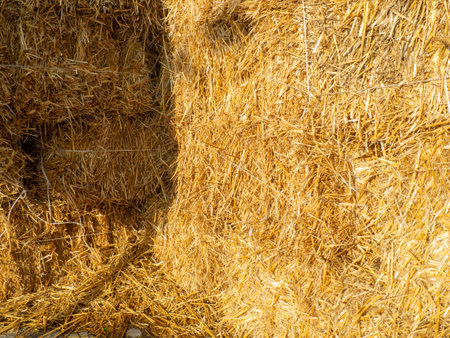 Hay background. Straw blocks. Heap of dry grass. Animal food. Hayloft.Harvesting.Rural life conceptの写真素材