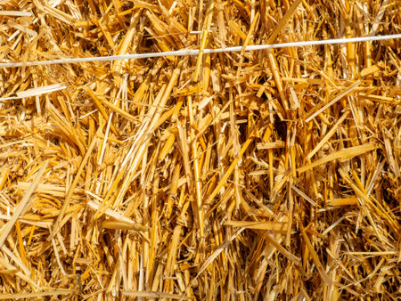 Hay background. Straw blocks. Heap of dry grass. Animal food. Hayloft.Harvesting.Rural life conceptの写真素材