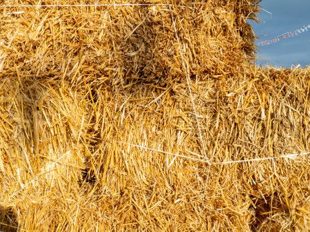 Hay background. Straw blocks. Heap of dry grass. Animal food. Hayloft.Harvesting.Rural life conceptの写真素材