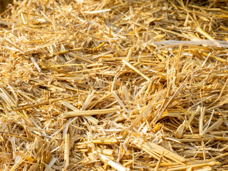 Hay background. Straw blocks. Heap of dry grass. Animal food. Hayloft.Harvesting.Rural life conceptの写真素材