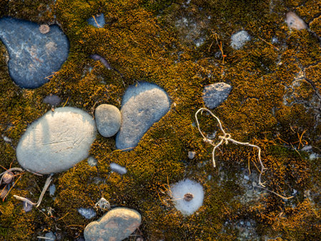 Ground background. Stones, pebbles, earth and moss. What is under your feet. Beach ground. Natureの写真素材