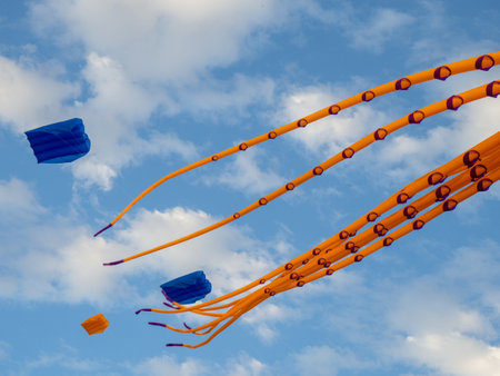 Kite Festival. Kites in the sky. A spectacle in the sky. Wind is like a force. air objects. Various forms. A beautiful sight. Air.  octopus.の写真素材