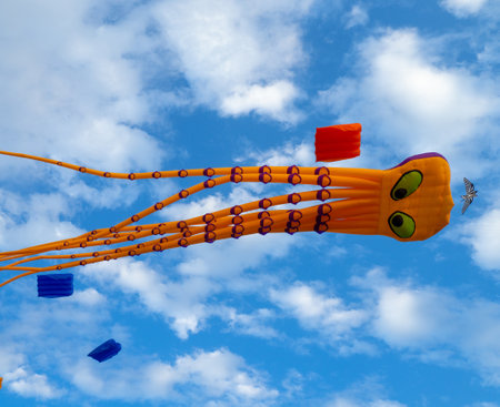 Kite Festival. Kites in the sky. A spectacle in the sky. Wind is like a force. air objects. Various forms. A beautiful sight. Air.  octopusの写真素材